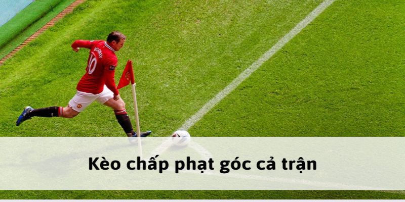  soi kèo phạt góc chuẩn